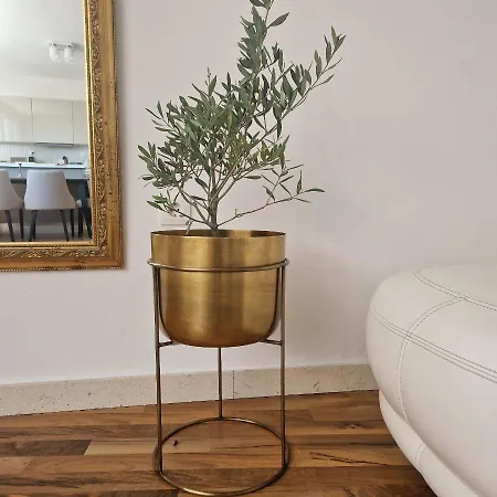 Homa Pensión 4*